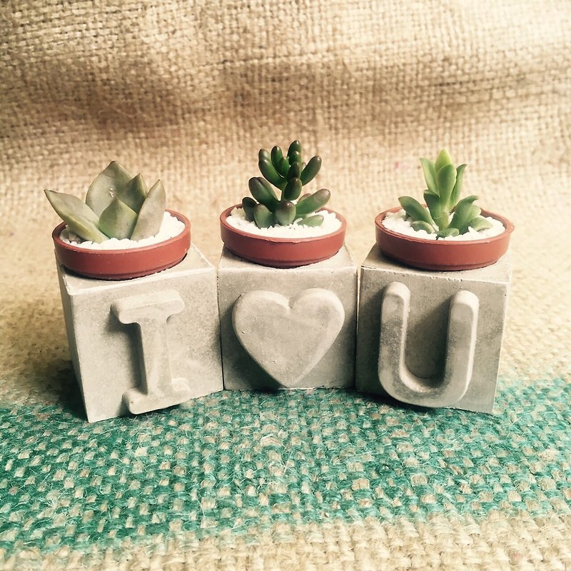 I Love U three-piece set - Plants - Cement Gray
