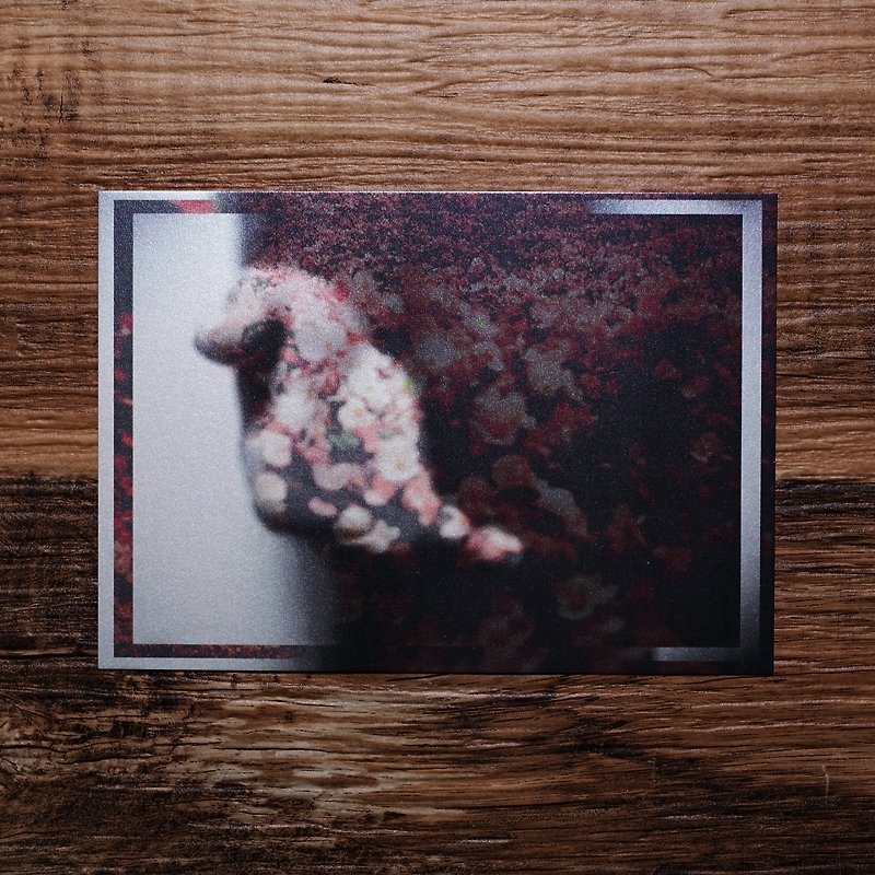 【Photo Postcard #01】Photo Postcard | TH1RT3ENDREAMS - Photography Collections - Paper Multicolor