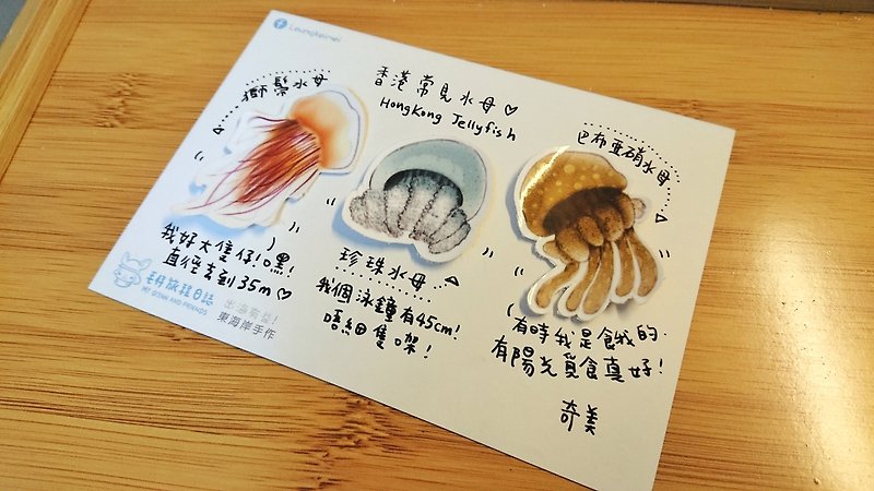 Waterproof Sticker pack: jellyfish - สติกเกอร์ - กระดาษ สีนำ้ตาล