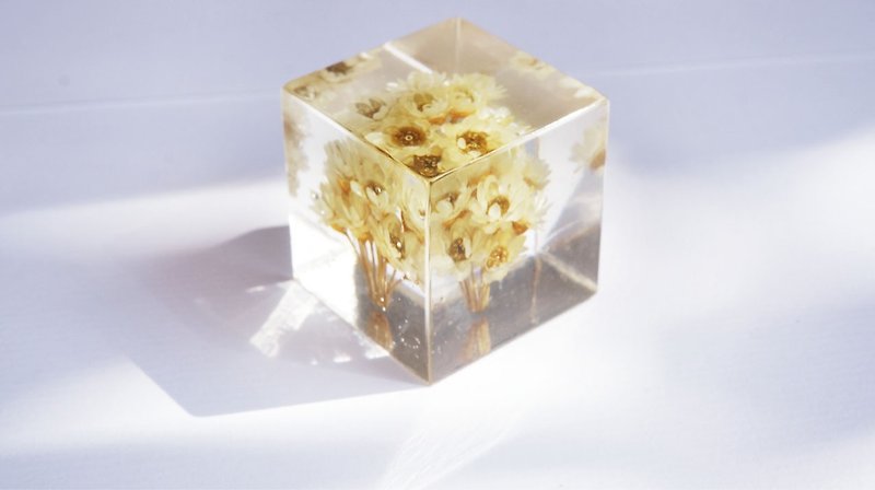 Yellow flowers - dried flowers three-dimensional square furnishings - Plants & Floral Arrangement - Plants & Flowers Yellow