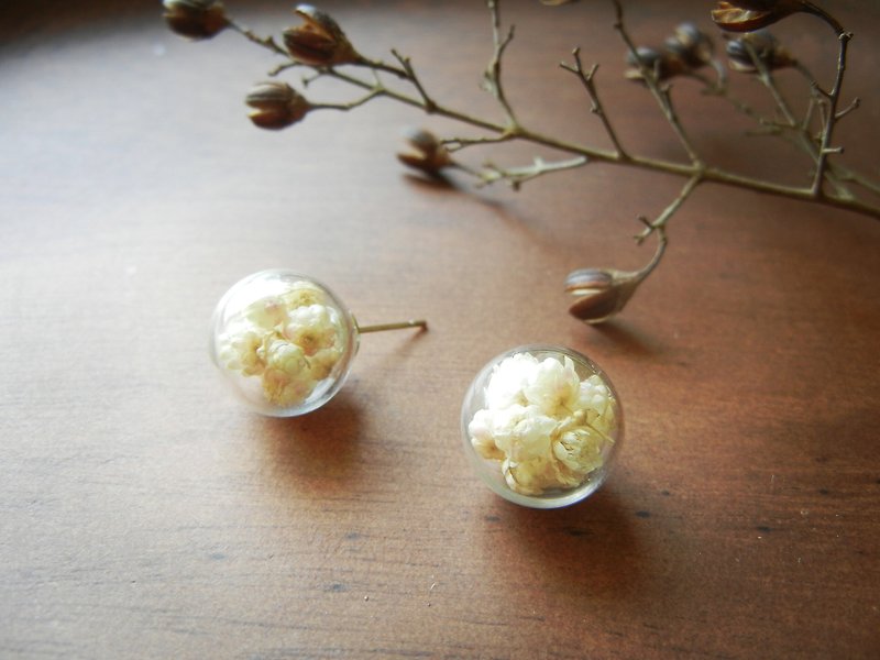 *coucoubird*rice fragrant flower glass earrings/anti-allergic ear acupuncture - Earrings & Clip-ons - Glass White