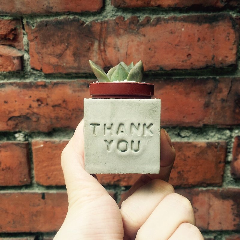 Thank you~!! Succulent Magnet Potted Plant - Plants - Cement Gray