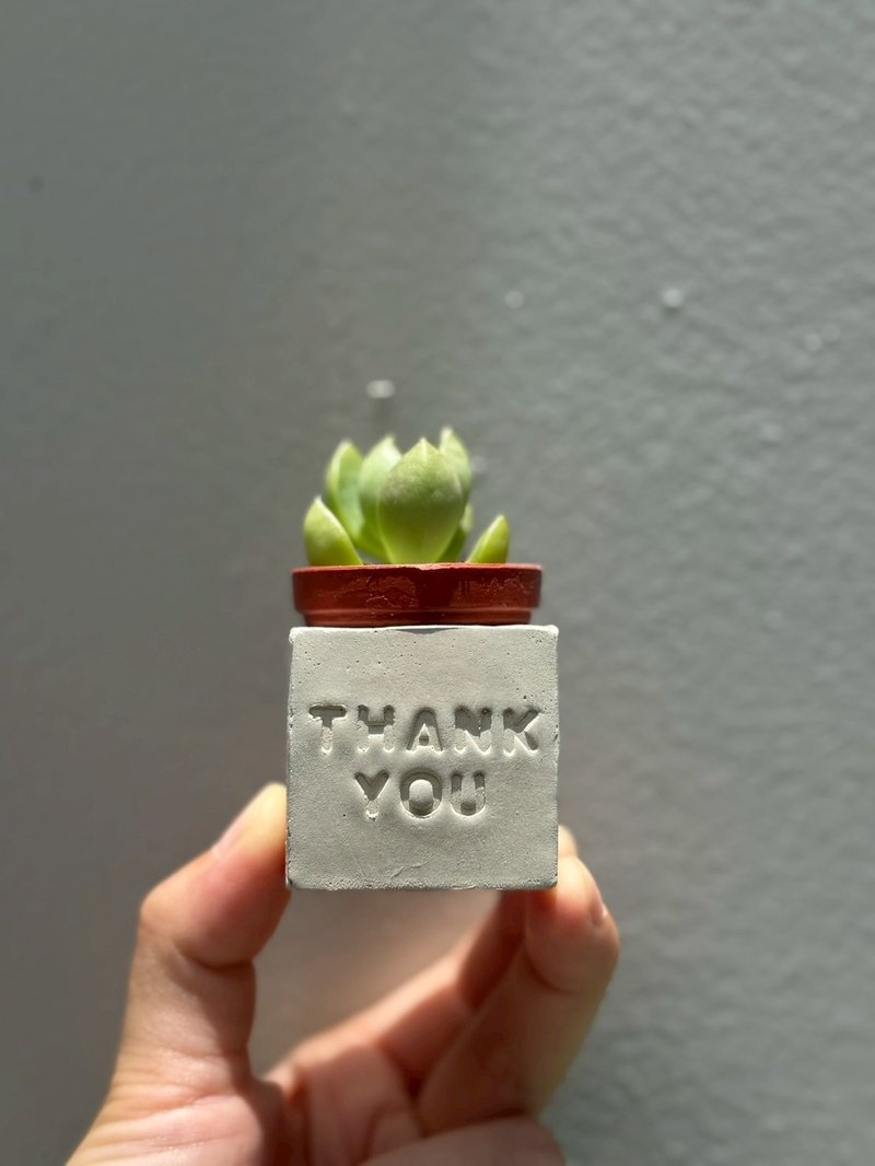 Thank you~!! 多肉磁鐵盆栽 - 盆栽/植栽 - 水泥 灰色