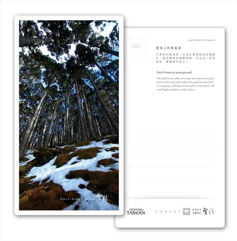 セントカエルエッジシリーズポストカード - 森 - 黒い森​​の雪の上 - カード・はがき - 紙 