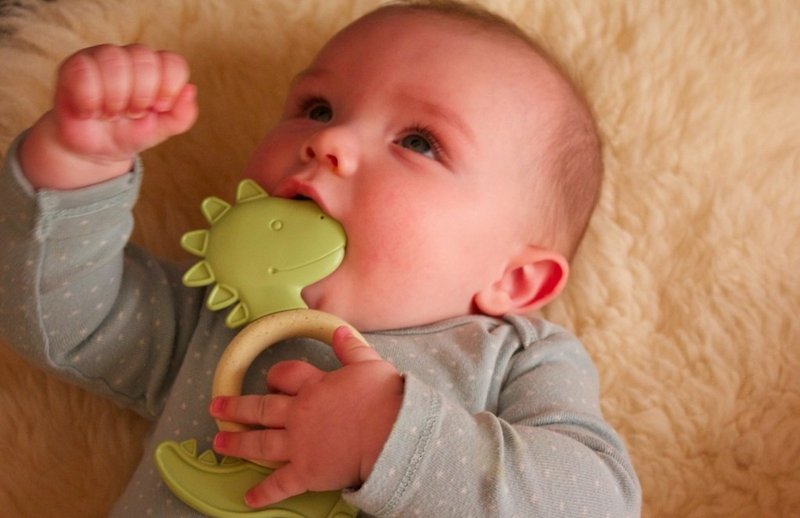 美國MyNatural Eco Teether環保固齒器-綠色恐龍 - 嬰幼兒玩具/毛公仔 - 植物．花 綠色
