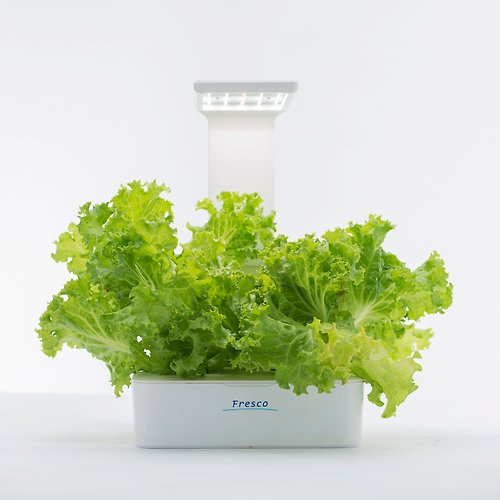 費思科 Fescl Green Box 小農夫 水/土耕兩用培育植物燈