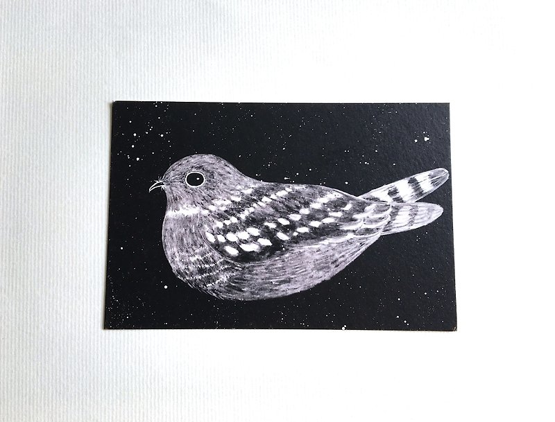 Nighthawk Wildbird Postcard - Cards & Postcards - Paper Black