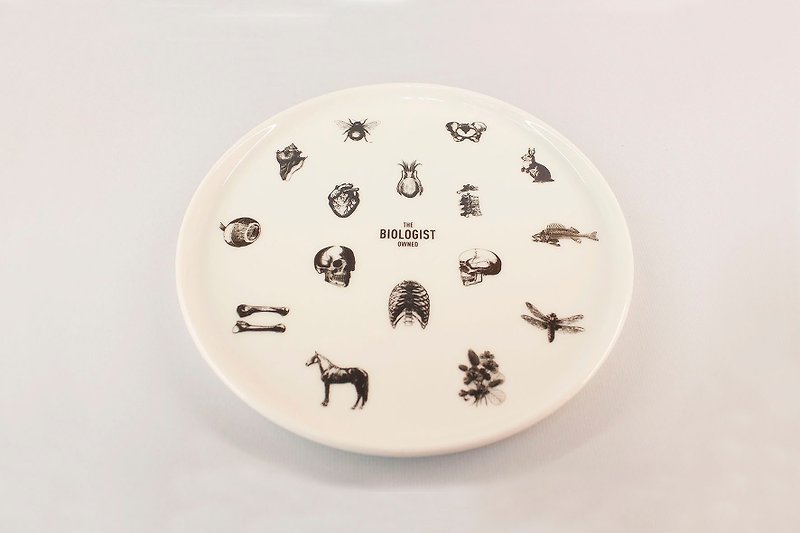 EYE KILN 生物學家瓷盤 The Biologist Owned Plate - 小碟/醬油碟 - 其他材質 白色