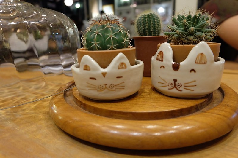 cute cat flowerpot - ของวางตกแต่ง - วัสดุอื่นๆ สีนำ้ตาล