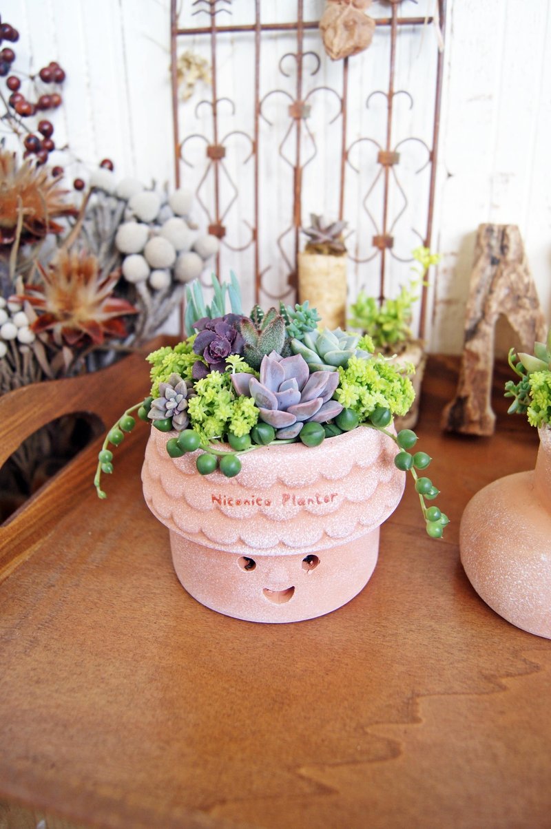 Smiling ceramic pots potted succulents X (lodge / boots / water kettle models) - Plants - Plants & Flowers 