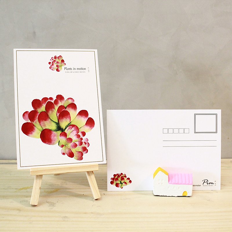 Succulents/Postcards/Otome Heart - การ์ด/โปสการ์ด - กระดาษ ขาว