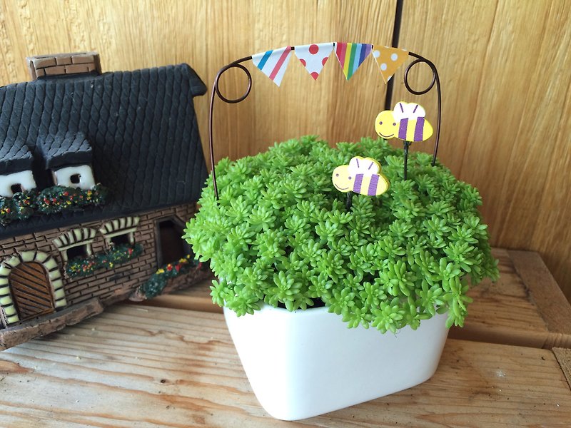 (鉢植え) ガーデン パーティー カーニバル (多肉植物の癒しのオフィス ギフト) - 観葉植物 - ガラス グリーン