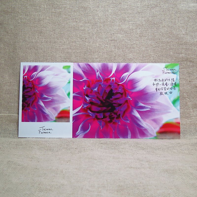 [Stub postcard] - bloom - Valentine's Day recommended - Cards & Postcards - Paper Pink