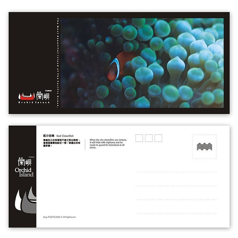 Orchid postcard - Ocean Series (horizontal) - Red clownfish - Cards & Postcards - Paper 