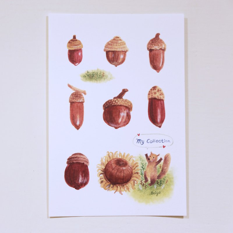 My collection │ squirrel Acorn Postcard - การ์ด/โปสการ์ด - กระดาษ 