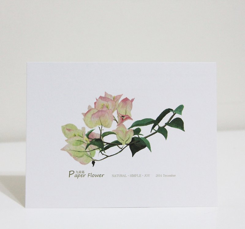 Xiang - NSJ Hand-painted postcard bougainvillea - Cards & Postcards - Other Materials Multicolor