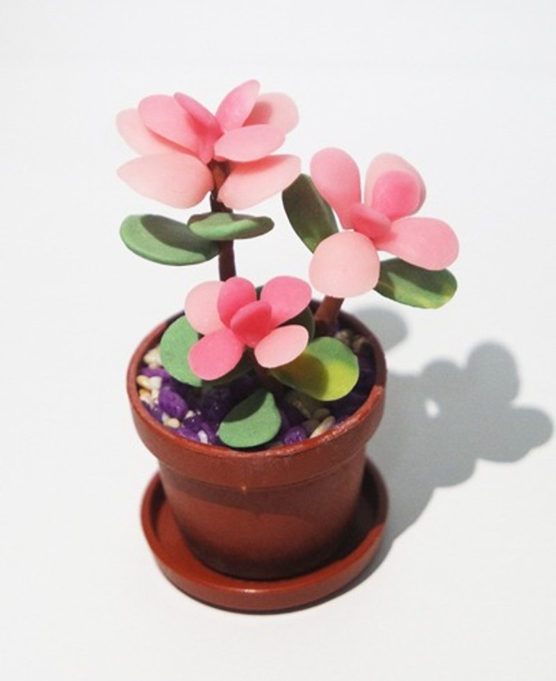 擬真多肉植物小盆栽-金枝玉葉錦 - 擺飾/家飾品 - 黏土 