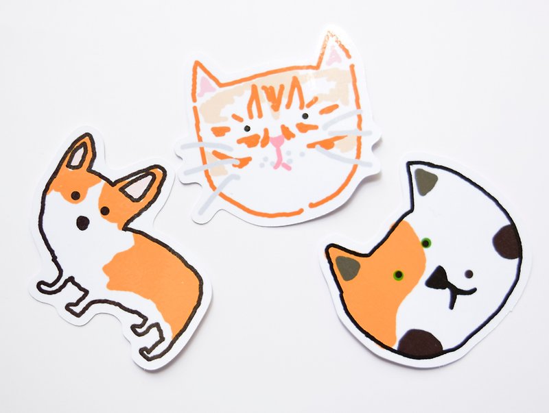 Corgi stickers / Cat stickers / 3 in 1 set - สติกเกอร์ - กระดาษ สีส้ม