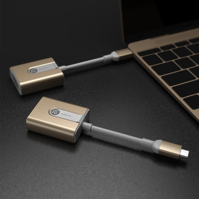CASA V01 USB Type-C to VGA Adapter - Other - Other Metals Gold