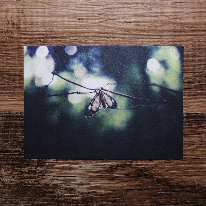 【Photo Postcard #08】Photo Postcard | TH1RT3ENDREAMS - Photography Collections - Paper Multicolor