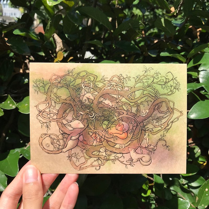 [Jungle Sleeping/Story Illustration Postcard] /Nest/Ranging/Dreamland - Cards & Postcards - Paper Green