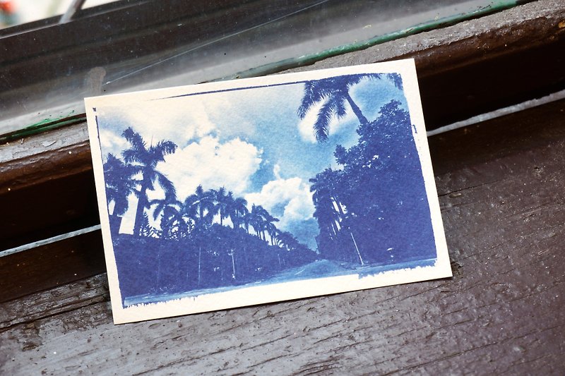 NTT blue sun postcard - Coconut Grove - การ์ด/โปสการ์ด - วัสดุอื่นๆ สีน้ำเงิน