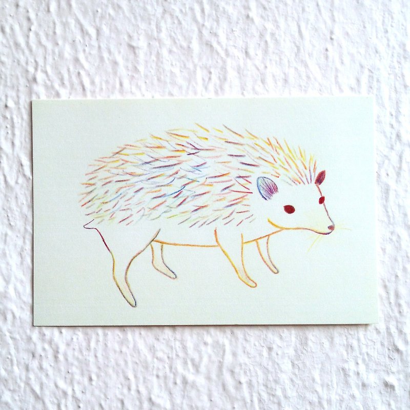 Hedgehog Postcards - การ์ด/โปสการ์ด - กระดาษ 