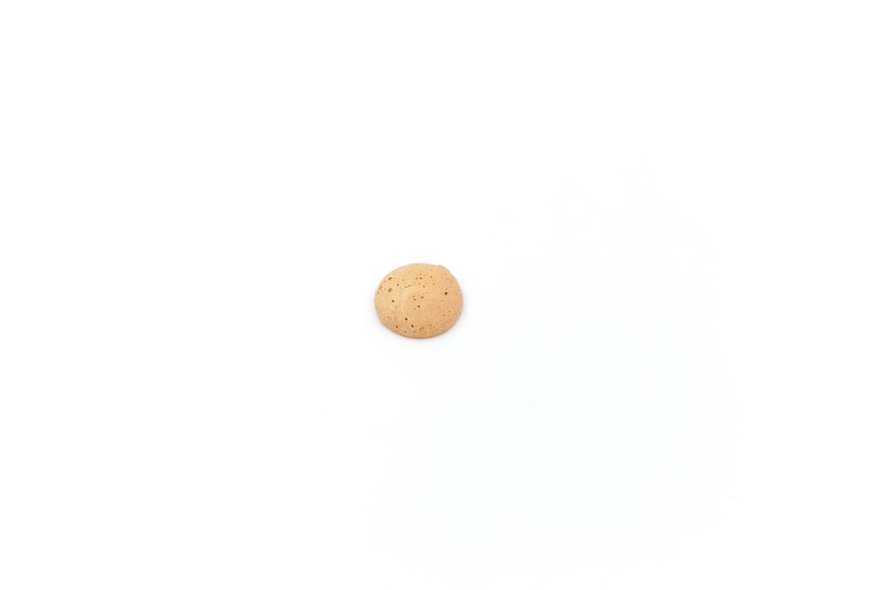 小さな惑星 - クッキー・ビスケット - 食材 ブラウン