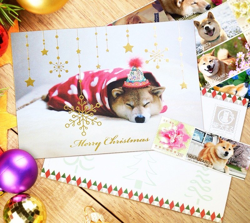 柴犬MARU - 耶誕明信片 MERRY MARU XMAS - 卡片/明信片 - 紙 