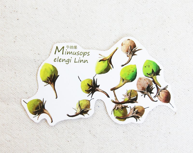 Xiang-NSJ Hand Painted Avocado Sticker - Stickers - Paper Multicolor
