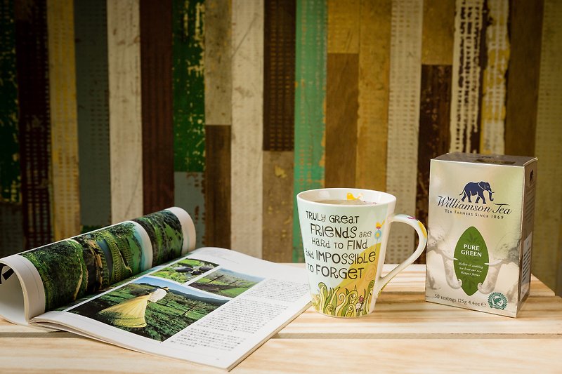 【絕版即期。買一送一】綠茶 / 圓片茶包系列(50個圓片茶包) - 茶葉/漢方茶/水果茶 - 新鮮食材 綠色