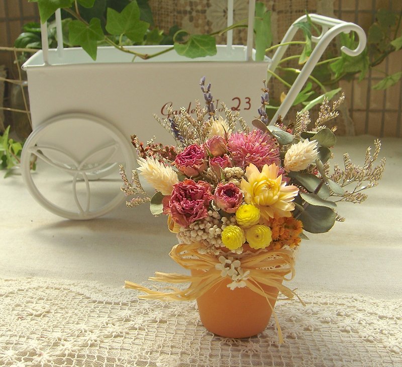 Dried flower pots Thao wedding birthday gift small things - Plants - Plants & Flowers Pink