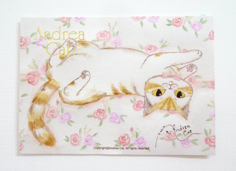 Andrea Cat-富麗街的貓成貓明信片-帕菲四腳朝天 - 卡片/明信片 - 紙 多色