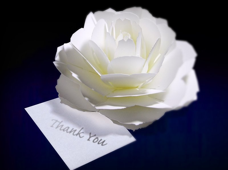 Bloom as open up flower Thank You card of &lt;Rose&gt; pop-up flower thank you card