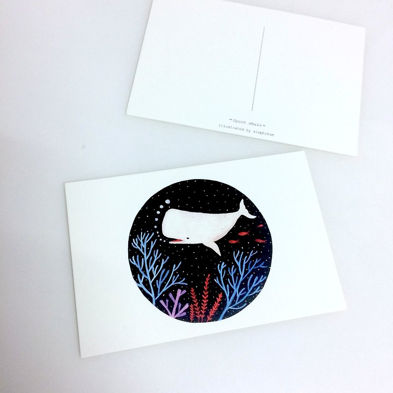 Sperm Whale Postcards - Cards & Postcards - Other Materials 