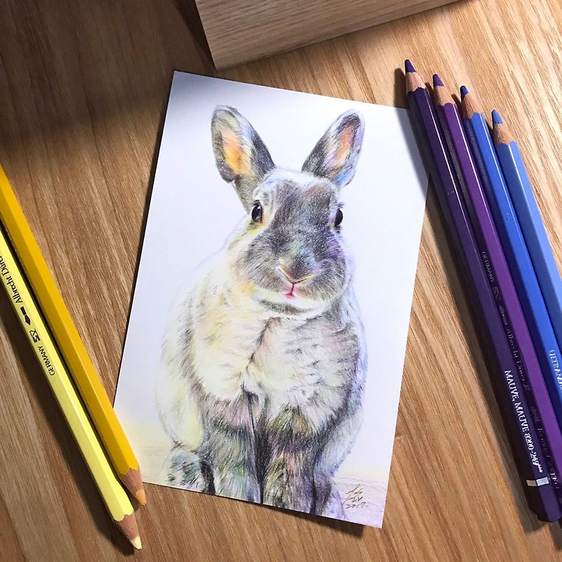 【色鉛筆】4×6(吋) 寵物肖像-單隻【請先私訊傳照片再下單】 - 似顏繪/客製畫像 - 紙 多色
