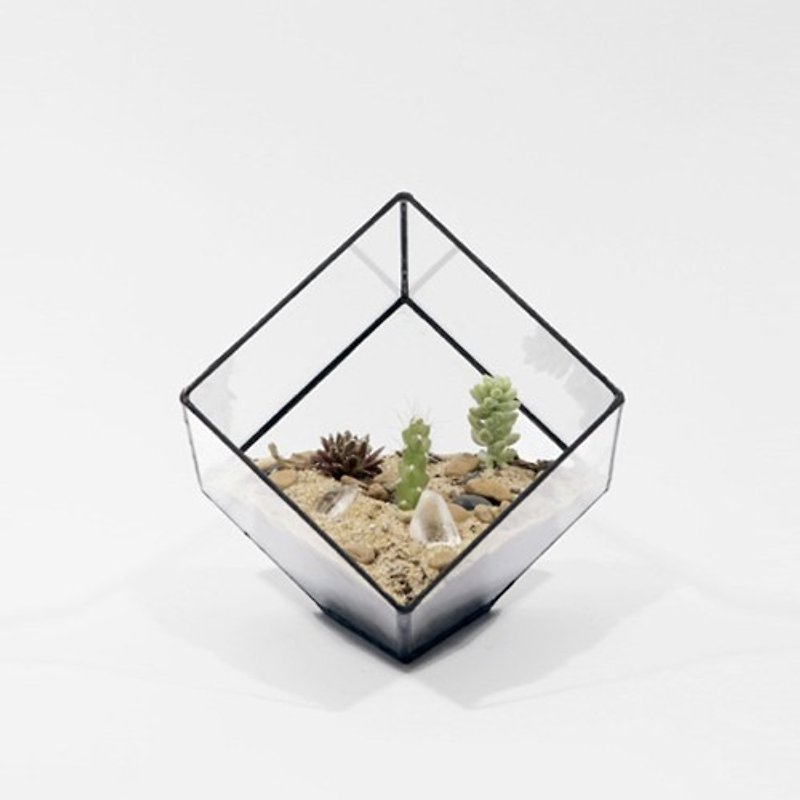 Cube Flower | Score + Solder - Plants - Glass Black