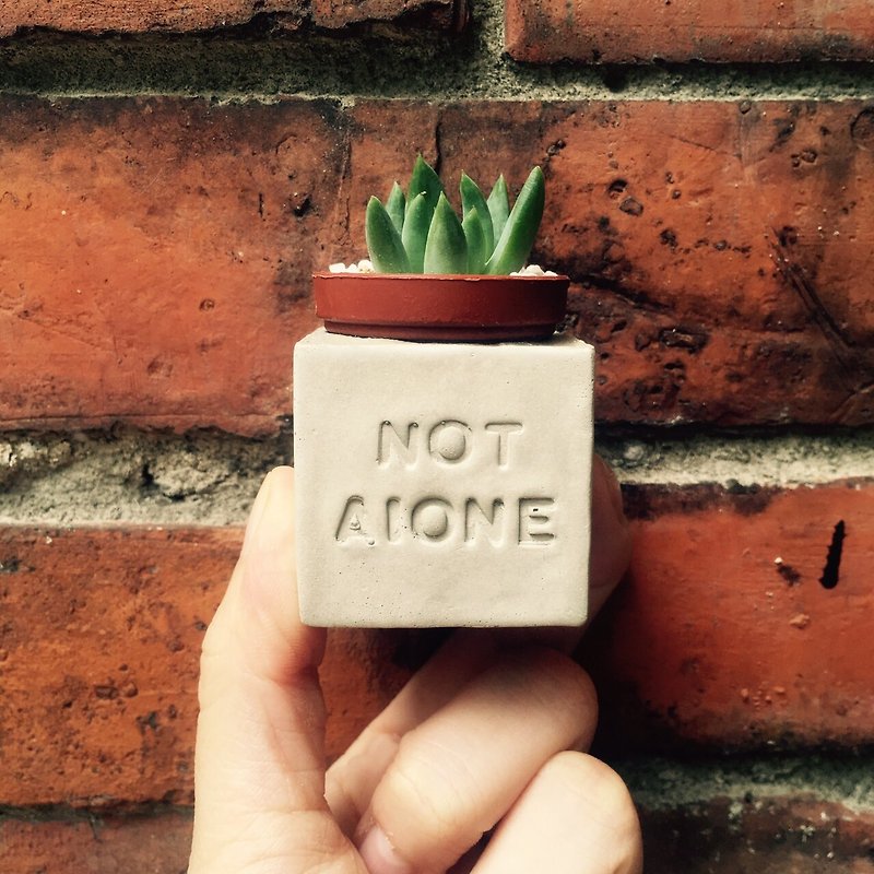 NOT ALONE~(You are not alone) Magnet Succulent Potted Plant - Plants - Cement Gray