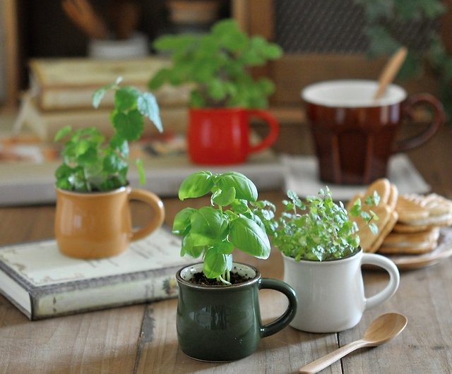 ヴェルデカフェ-エスプレッソ型プランター/コーヒーカップ（4種類） - ショップ 聖新陶芸 SEISHIN 観葉植物 - Pinkoi