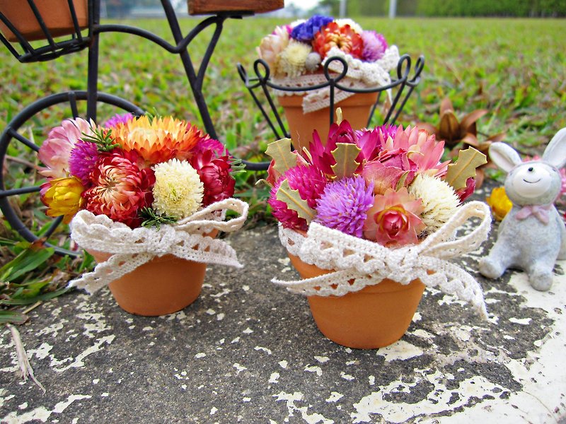 【Enjoy small potted flowers】Dry flowerpot 4cm*4cm - ตกแต่งต้นไม้ - วัสดุอื่นๆ 