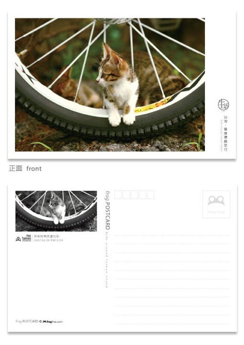 Taiwan ‧ cycling postcard cycling trip around the island life series - Hengchun roadside meow - Cards & Postcards - Paper 