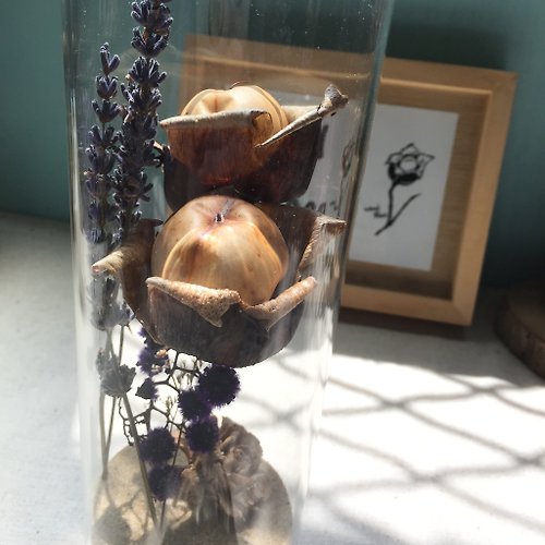 woodrose 瓶中花 乾燥花 桌上擺飾 - 珍愛木玫瑰(成雙)