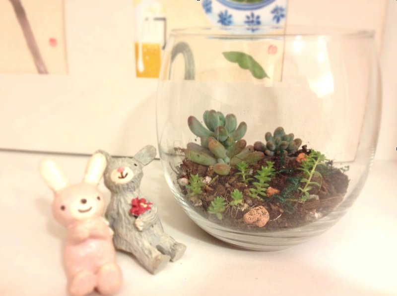 [植栽] 微溫 Mini Greenhouse - 観葉植物 - ガラス グリーン