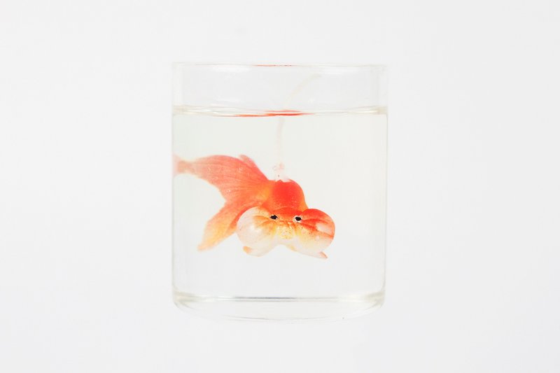 橘色水泡眼金魚罐裝香氛蠟燭 - 香氛蠟燭/燭台 - 蠟 橘色