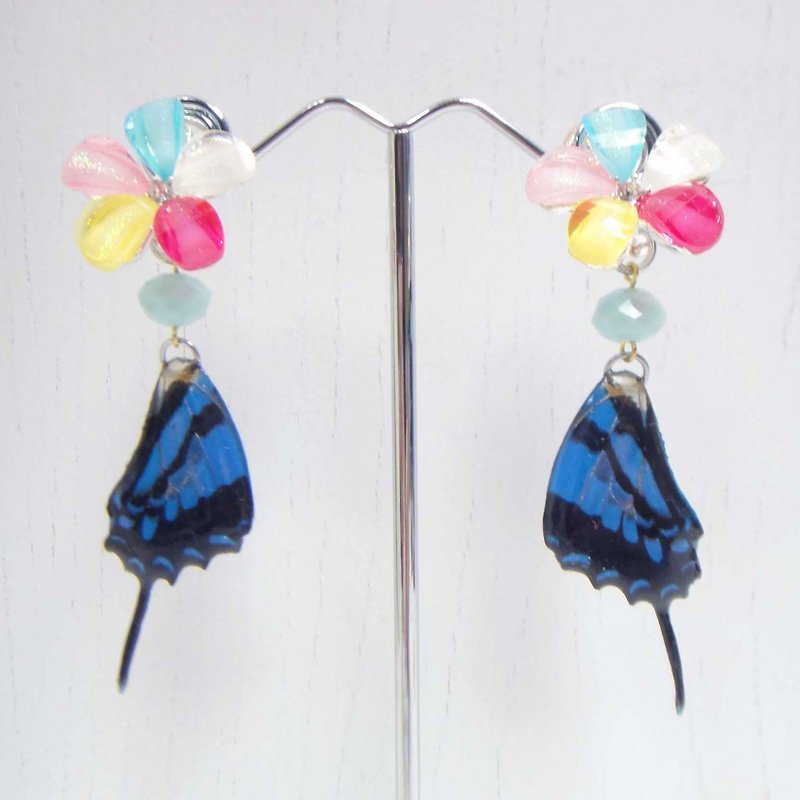 TIMBEE LO 蝴蝶標本滴膠 耳環 - 耳環/耳夾 - 紙 藍色