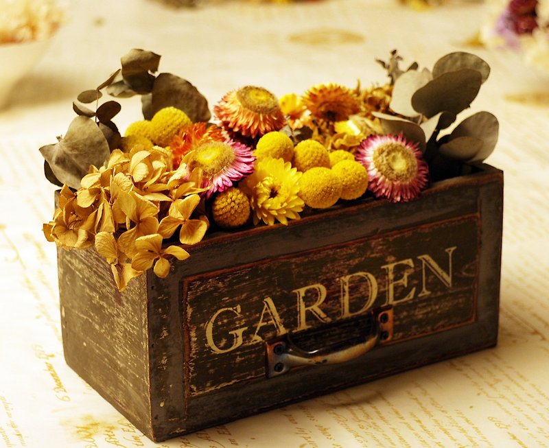 Hand-made dry flower drawer flower gift - Plants - Plants & Flowers Brown