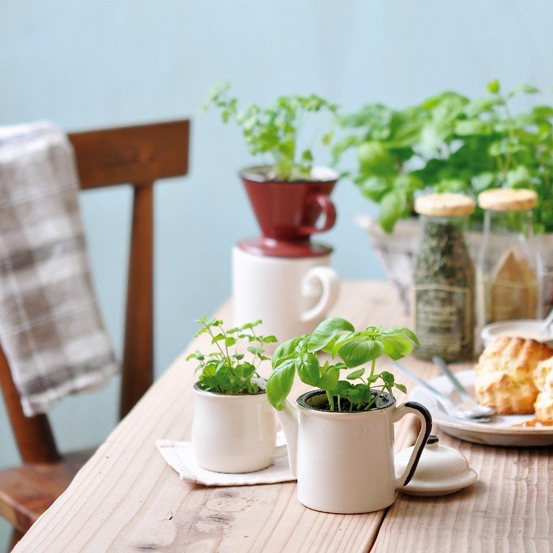 Verde Kitchen - KETTLE Shape Planter/Coffee Teapot (Three Types) - ตกแต่งต้นไม้ - วัสดุอื่นๆ หลากหลายสี
