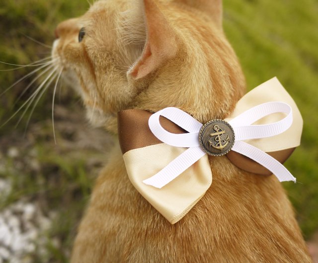 Bow Tie Collar - Coffee