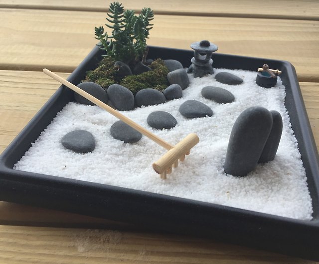 Pure natural Japanese Zen sand table dry landscape succulent lamp gift zen - Shop pure-nature - for - Pinkoi