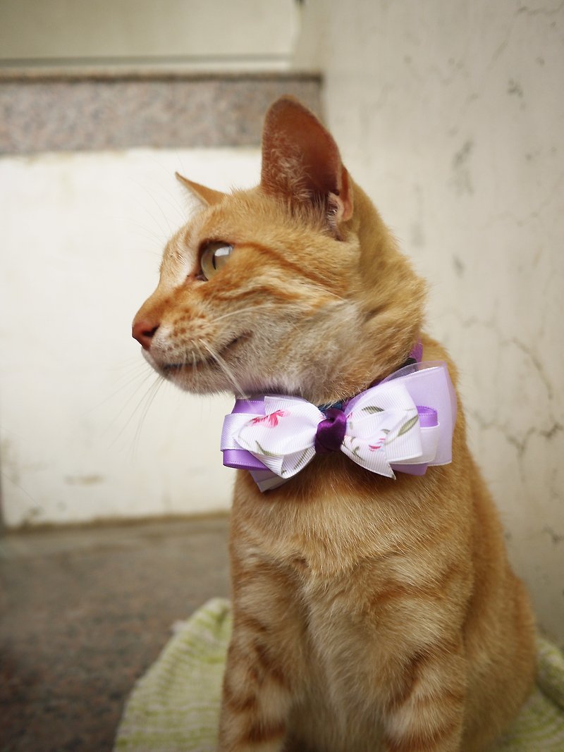 Safety pet collar x natural violet. Small floral cat/dog/neck tie/bow tie/tweet